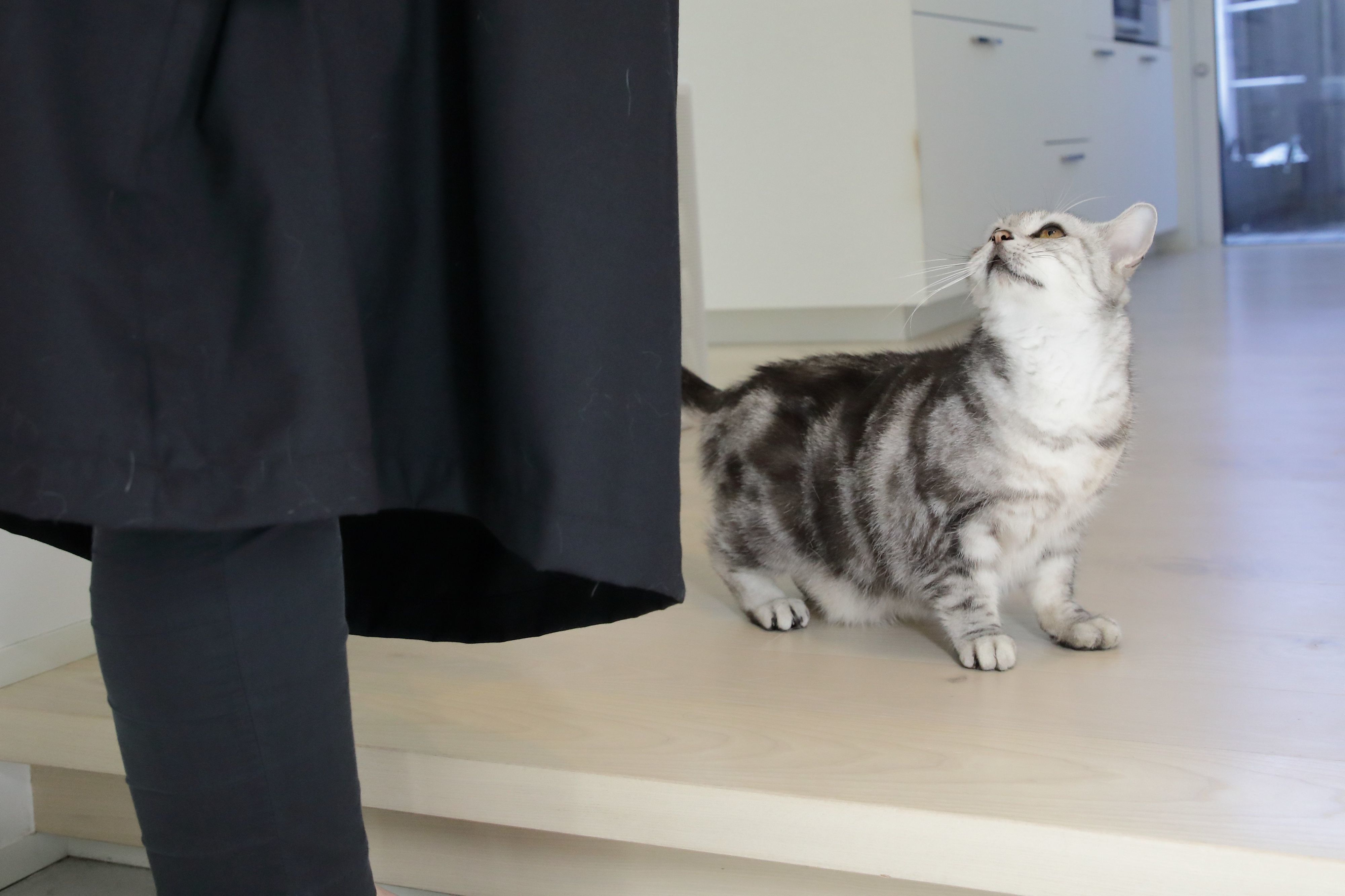 撮影／尾﨑たまき