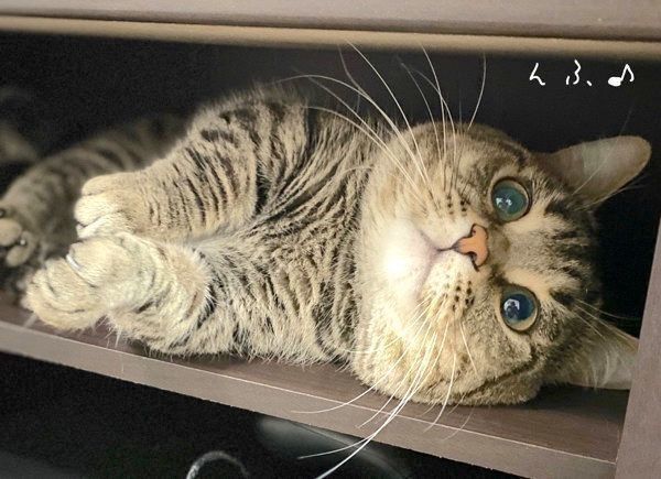 名演技をするびすくん