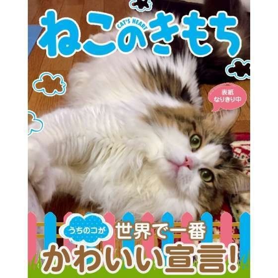 ラガマフィンのののちゃん