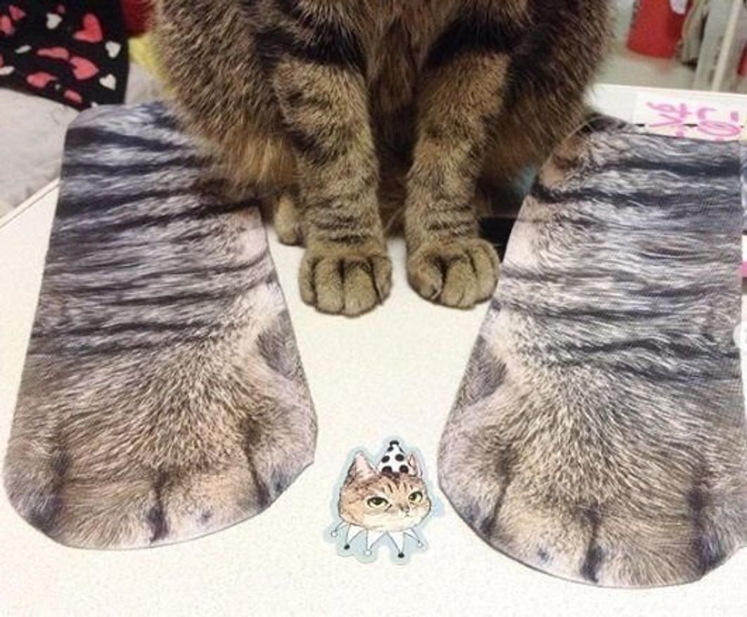 愛猫とおそろい ニャンとも可愛い 猫の靴下 大集合 ねこのきもちweb Magazine 愛猫とおそろい ニャンとも可愛い 猫の靴下 大集合 ねこのきもちweb Magazine