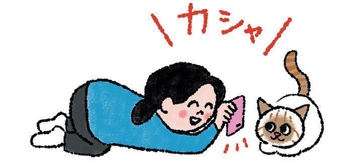 イラスト／simico