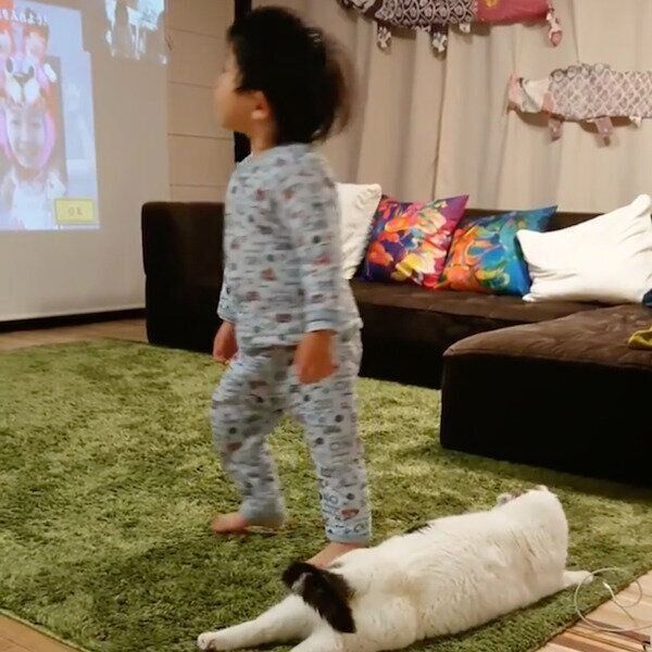 踏まれそうで踏まれないライくん