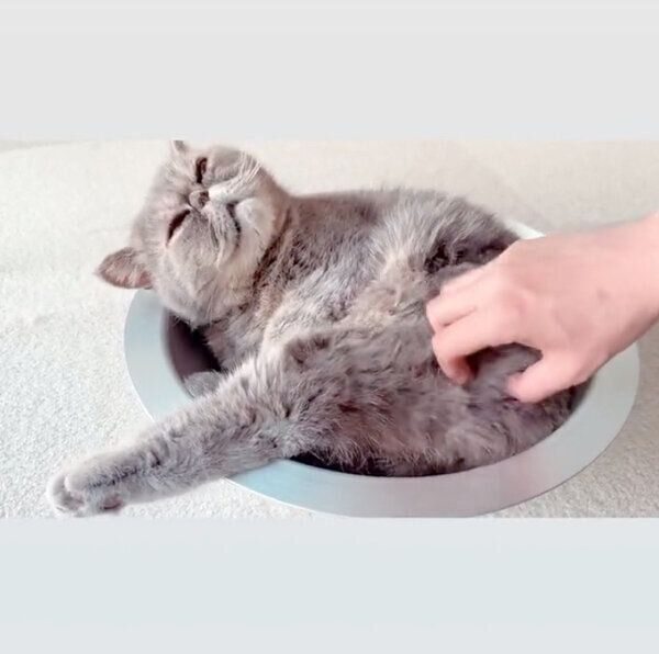 マッサージ中のふくすけくん