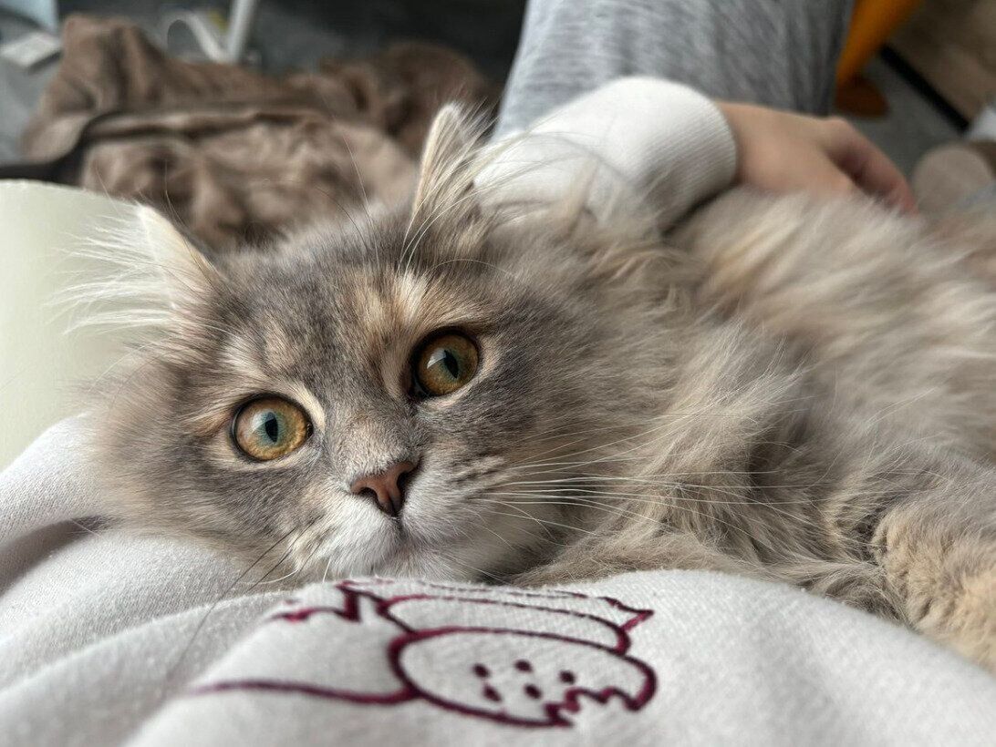 くつろぐとろたくちゃん