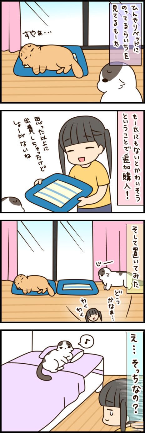 「もふもふスコたん」vol.25