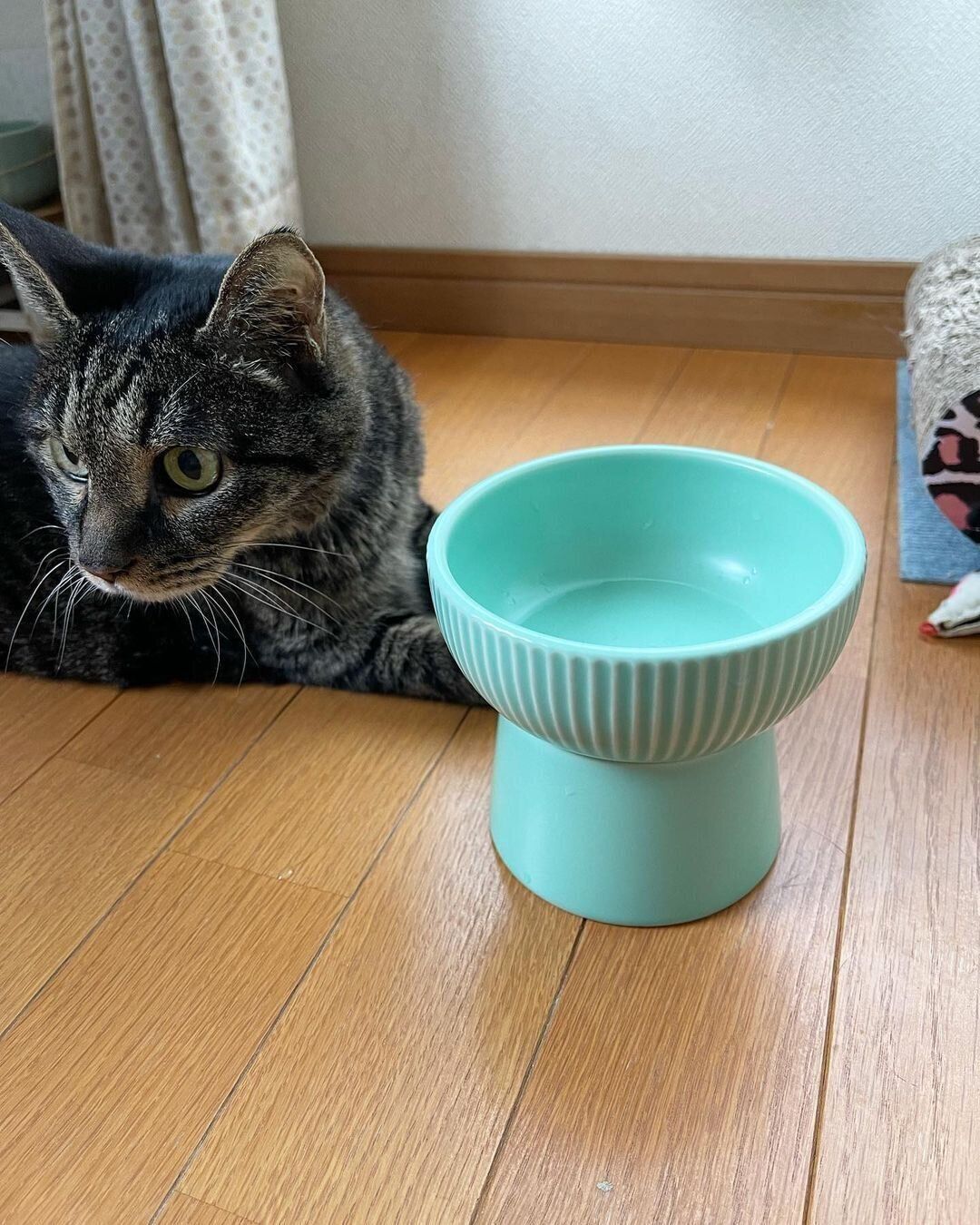 ミントグリーンのボウル