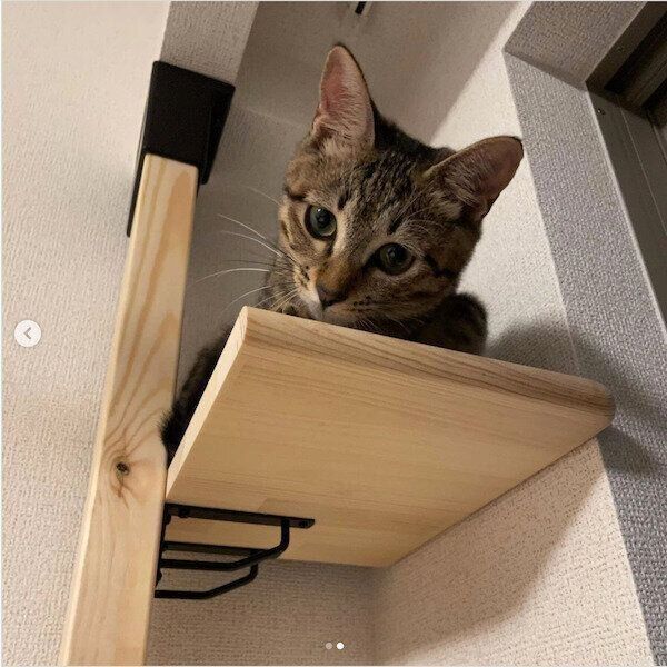DIYキャットタワー