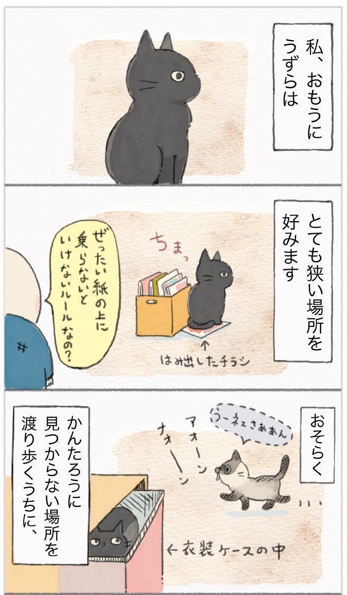 「ねこ連れ草」58話め