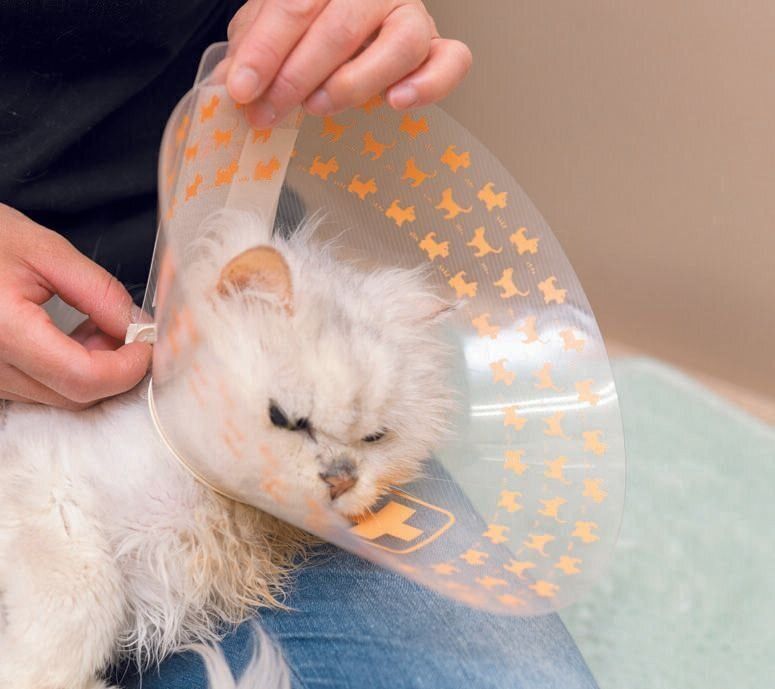 撮影／石原さくら