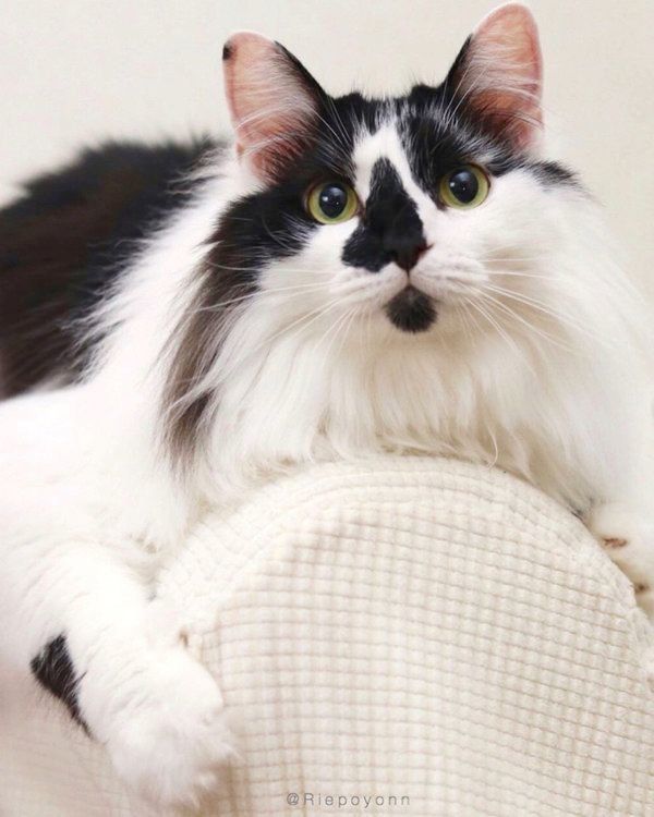 カメラ目線のそらくん