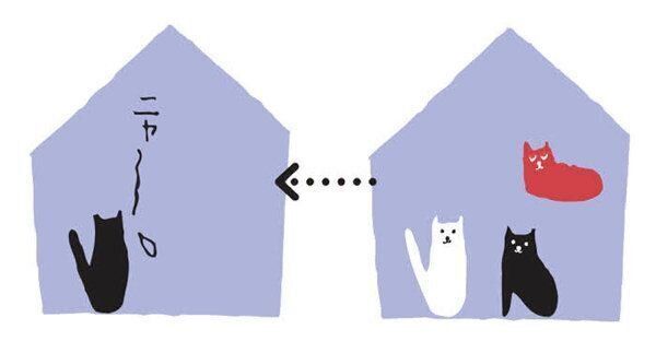 飼い主さんが気になる"おひとり猫"に関するアレコレ