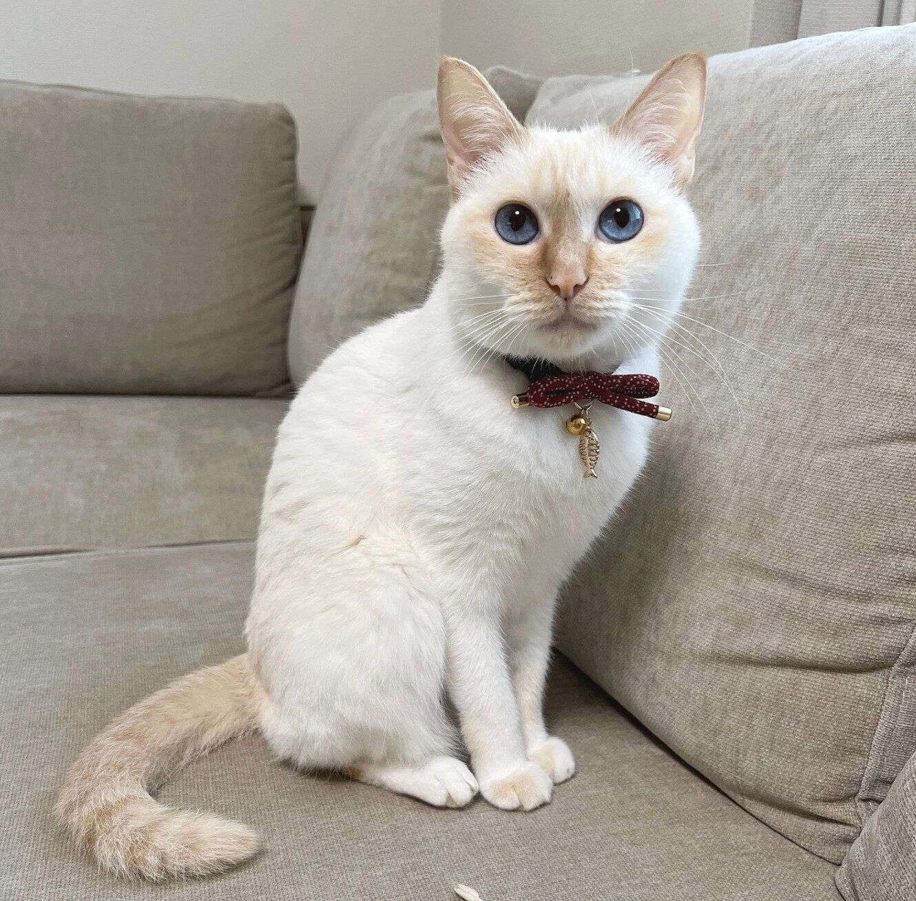 見つめるひなたちゃん