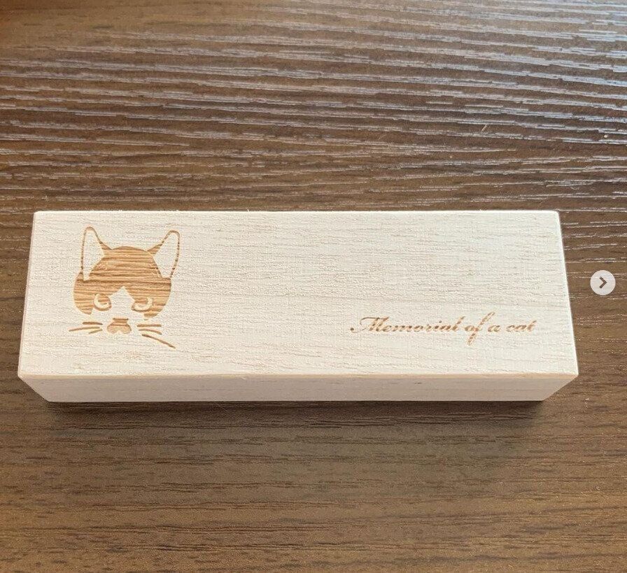 Amazonで購入したヒゲケース