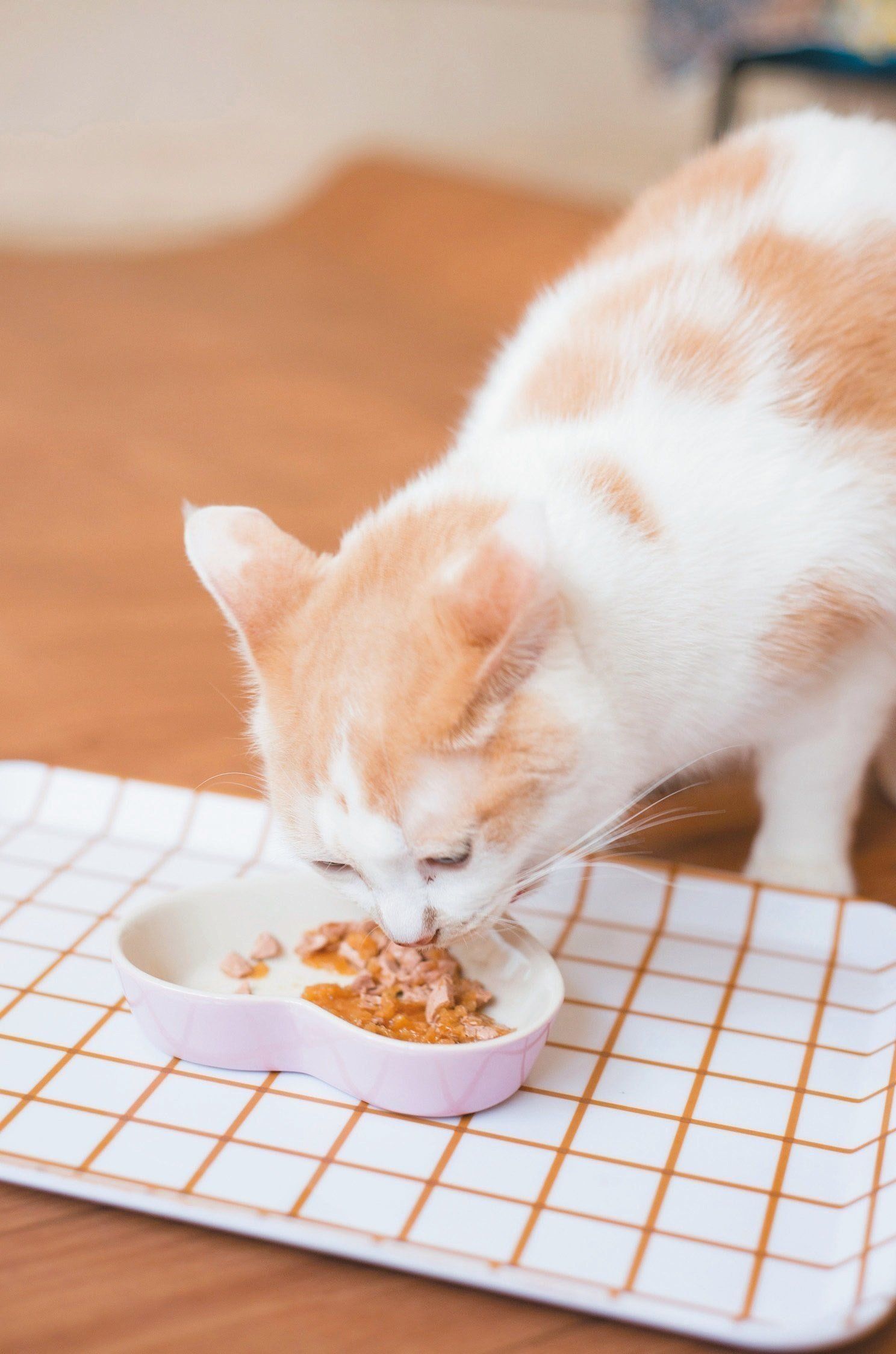 撮影／中川文作