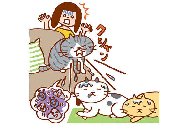 くしゃみをする猫