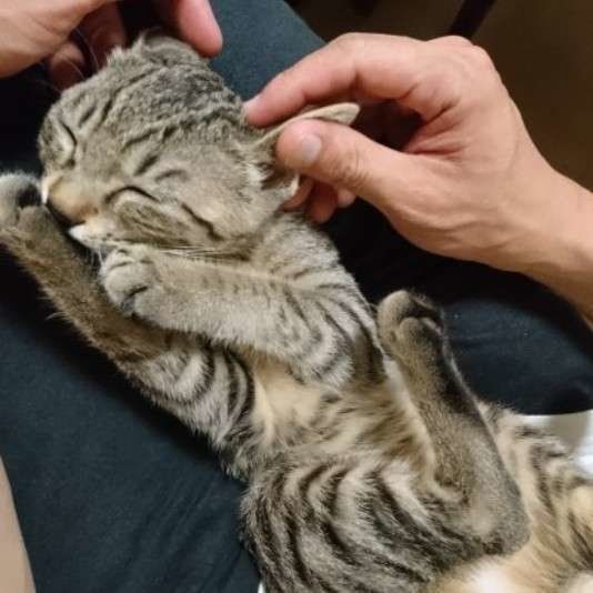 マッサージ中（MIX）