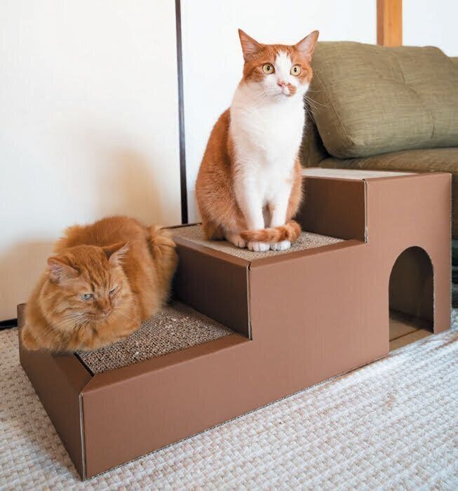 3WAYくつろぎキャットステップでくつろぐ猫たち