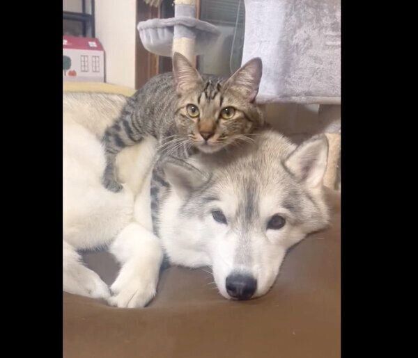 仲良しなサンくんとユキちゃん