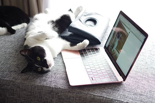 夢みるソラのとんでもない行動