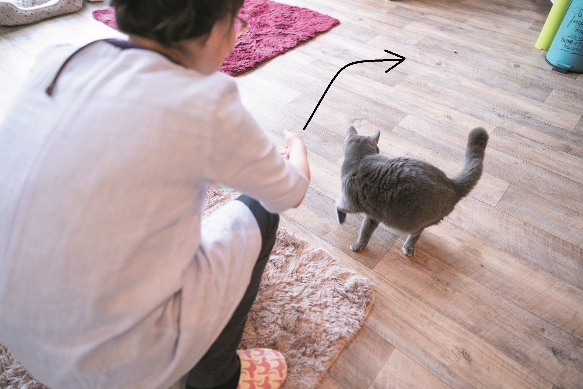 撮影／石原さくら