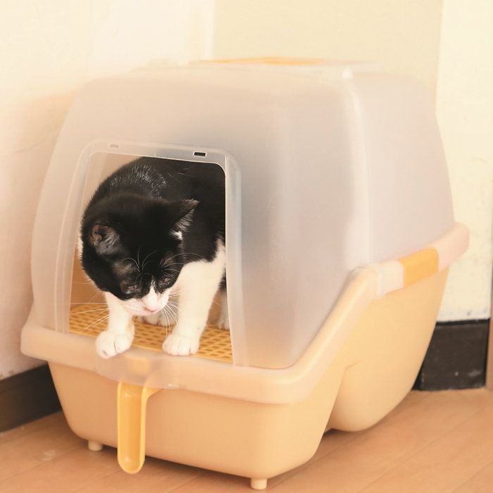 撮影／尾﨑たまき