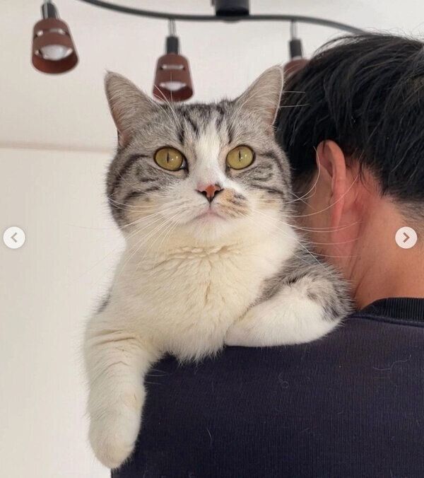 抱っこが大好きなふにちゃん