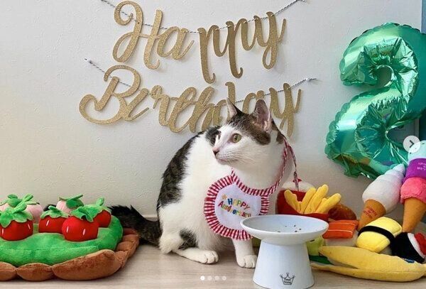 2才になったセロイくん