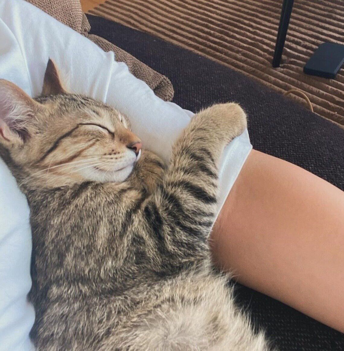 飼い主さんと一緒に昼寝をするマロくん