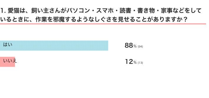 猫が邪魔してくるかのアンケート結果