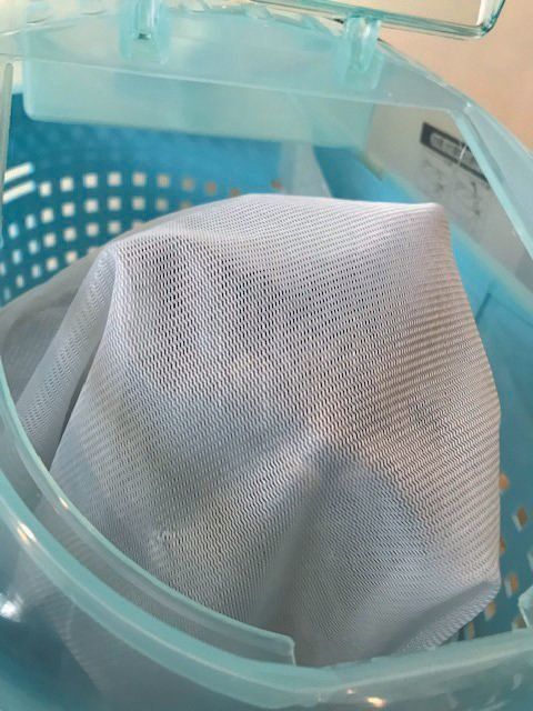 画像／ねこのきもち2019年11月号『愛猫をノーストレスで診てもらう方法』