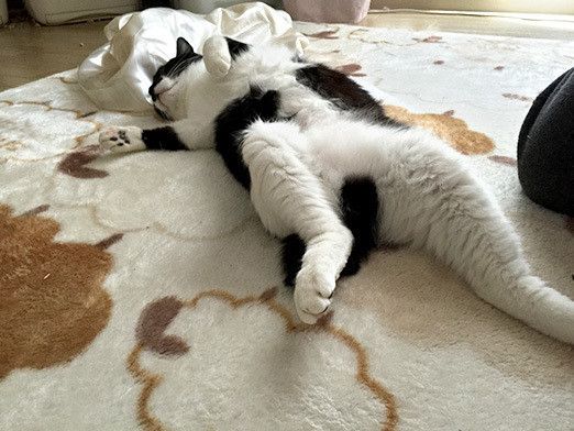 リュックのバランスボール爆破事件