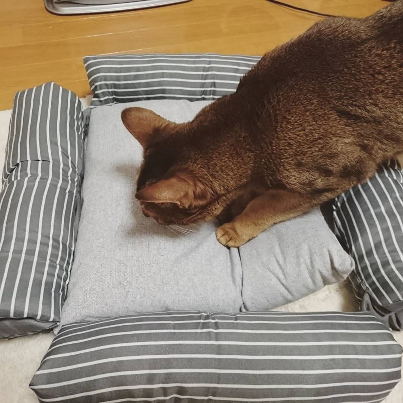 100均グッズで 猫ベッド を自作してみよう ねこのきもちweb Magazine 100均グッズで 猫ベッド を自作してみよう ねこのきもちweb Magazine