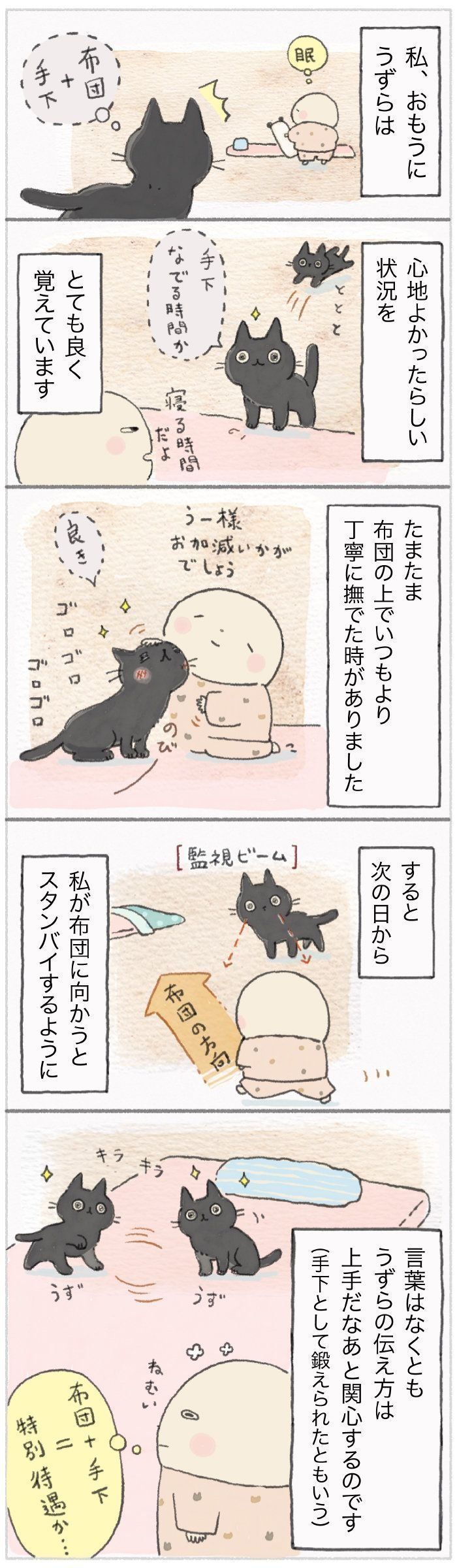「ねこ連れ草」80話め
