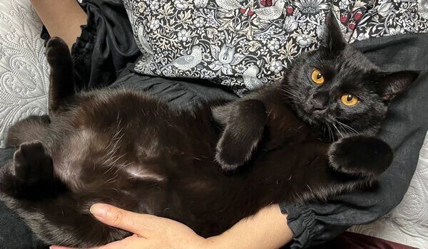 甘えるうにくん