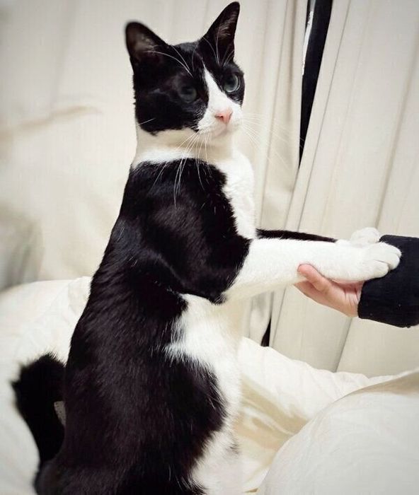 おねだりをするめいさん