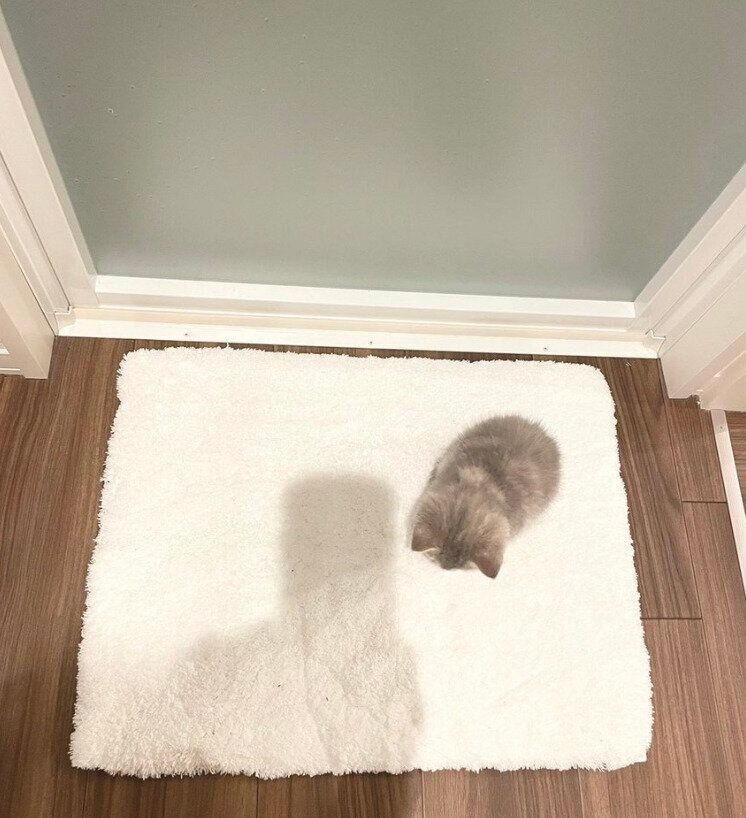バスマットの上にいるおんぷちゃん