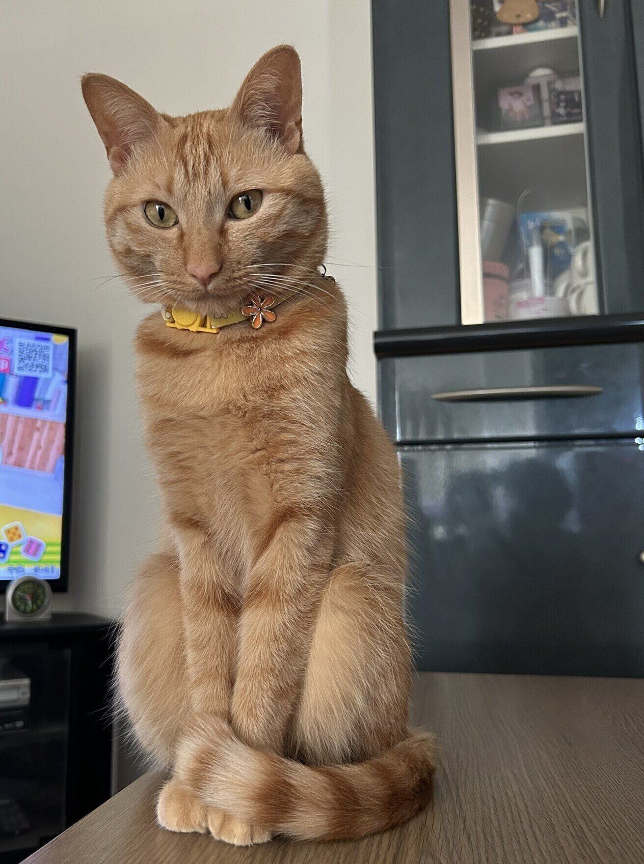 成長後のうみくんの様子　すっかり“イケメン”に