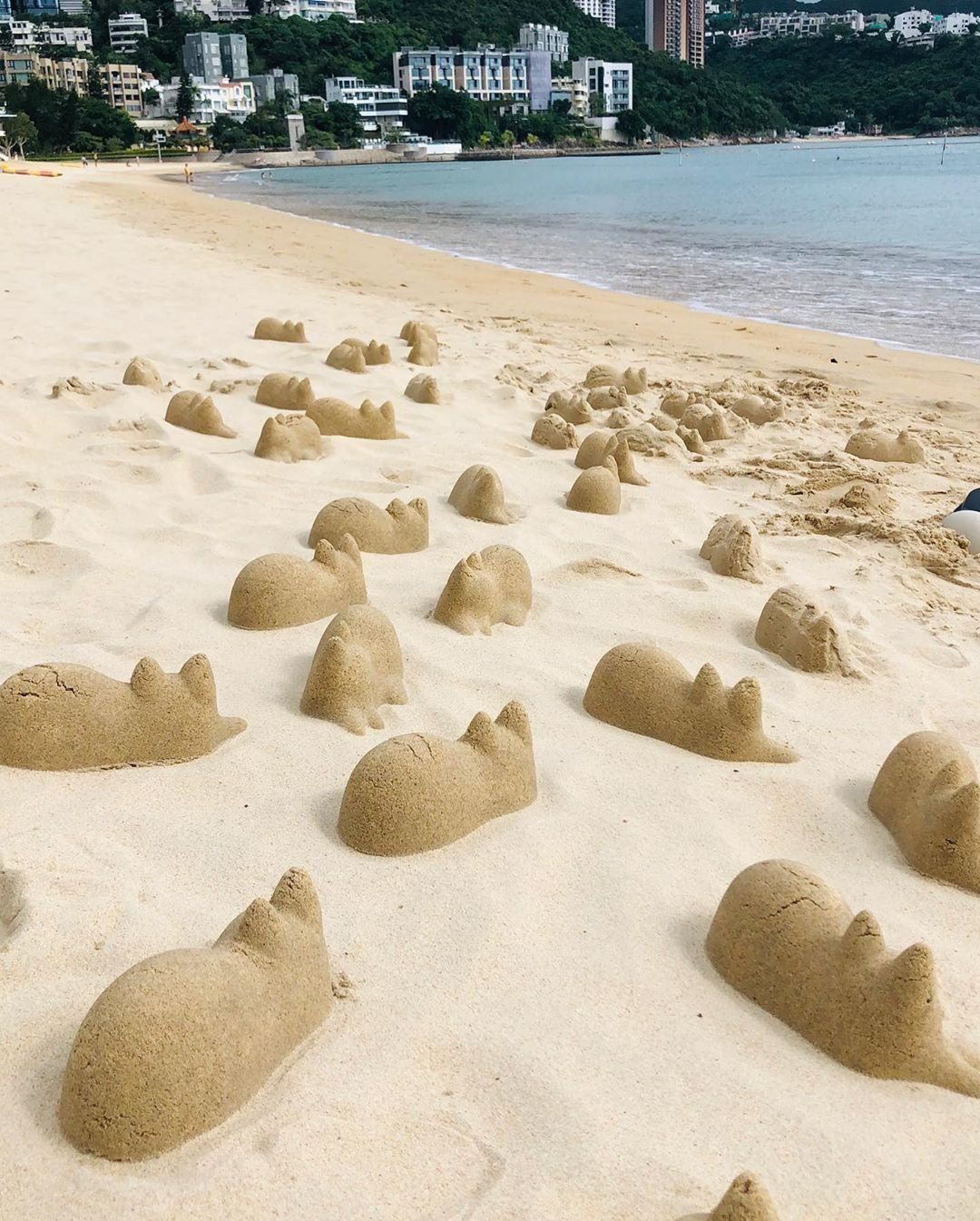 ネコカップシルエット