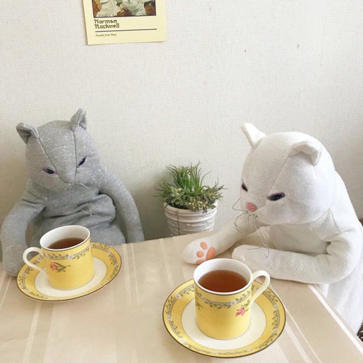 インスタで異彩を放つ 猫のぬいぐるみ 魅力を引き出す工夫がスゴい ねこのきもちweb Magazine インスタで異彩を放つ 猫のぬいぐるみ 魅力を引き出す工夫がスゴい ねこのきもちweb Magazine