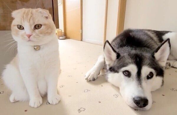 いつも仲良しのじゅんちゃんとはっちゃん