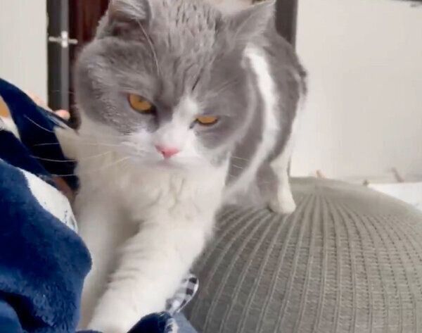 フミフミするソアラちゃん