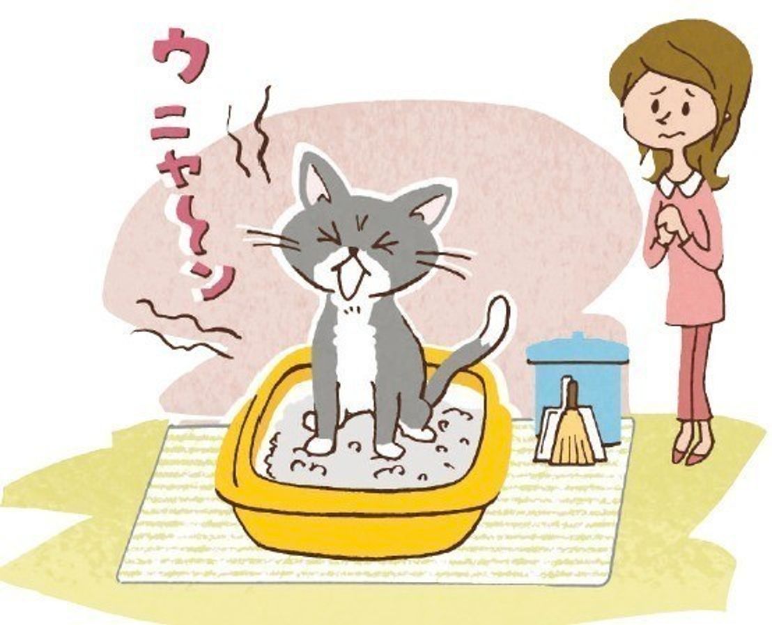 季節の変わり目は猫も要注意 春ストレスが一因のトラブルや病気に気をつけて ねこのきもちweb Magazine