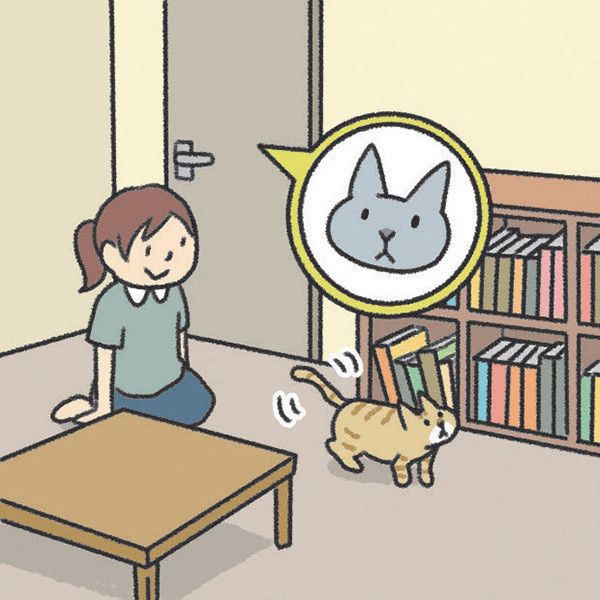 新入り猫を迎えるとき