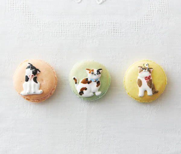 ブレナチュレ　マカロン・cat