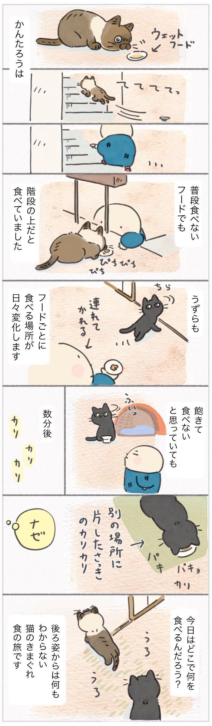 「ねこ連れ草」355話め