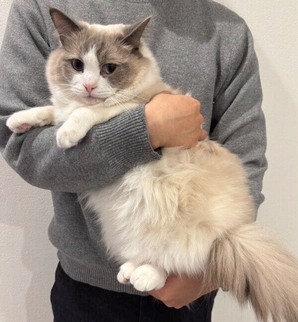 飼い主さんに抱えられるはりーくん