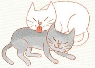 イラスト／浅羽ピピ