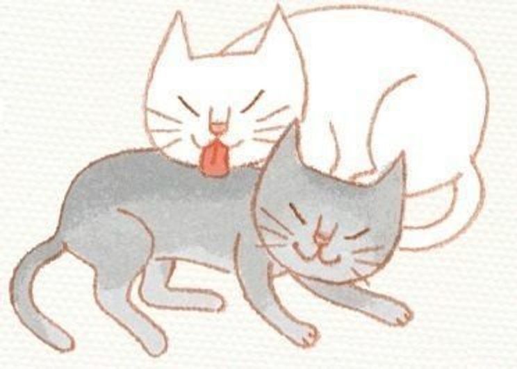 愛猫の 吐く を減らすために飼い主さんができること ねこのきもちweb Magazine 愛猫の 吐く を減らすために飼い主さんができること ねこのきもちweb Magazine