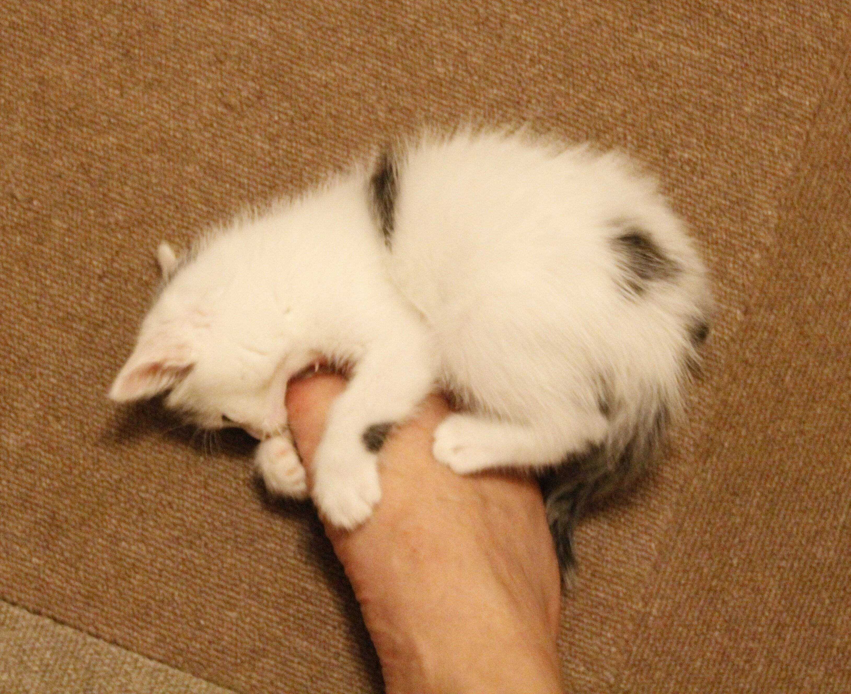 写真提供／読者