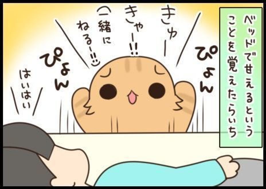 するほうもされるほうも幸せ 腕枕を堪能する猫 もふもふスコたん Vol 115 ねこのきもちweb Magazine するほうもされるほうも幸せ 腕枕を堪能する猫 もふもふスコたん Vol 115 ねこのきもちweb Magazine